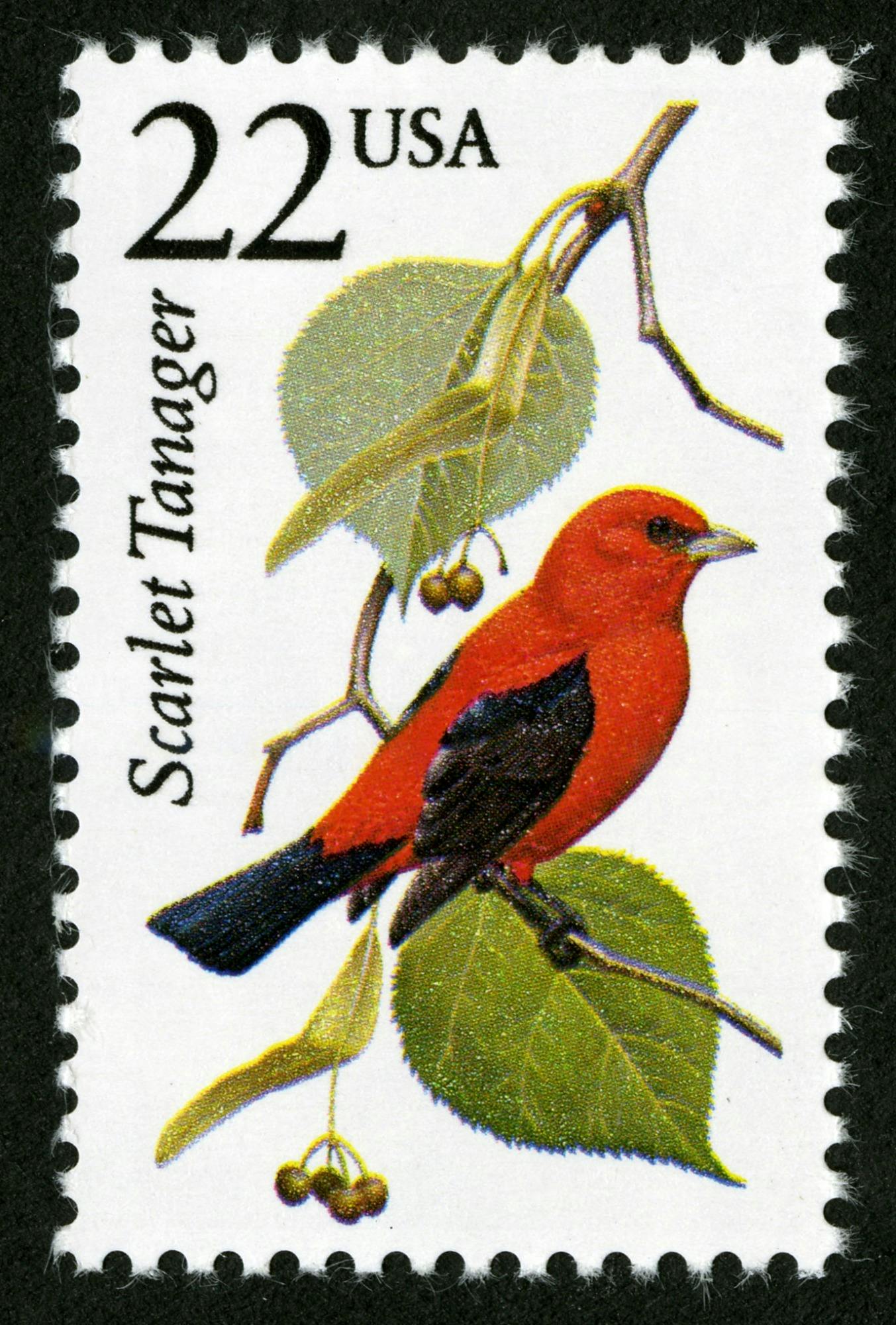 postage stamp showing a red bird with black wings and tail perched on a branch with leaves and berries. Text reads: "22 USA Scarlet Tanger"