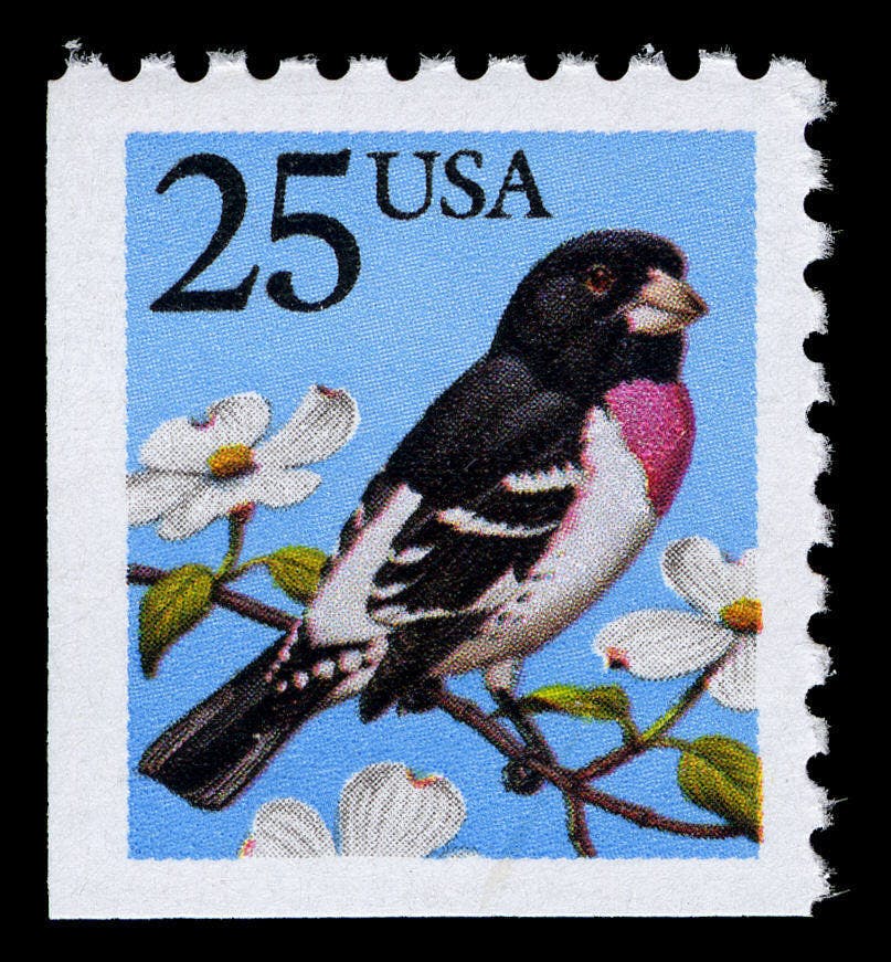 Postage stamp showing a black bird with purple and white chest and white striping across wings, perched on a branch with white flowers against a blue background. Text reads: "25 USA"